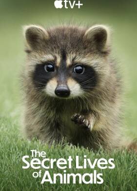 Тайная жизнь животных