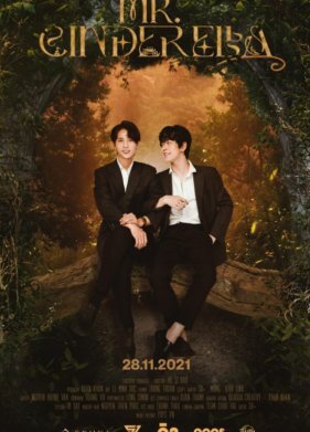 Мистер Золушка