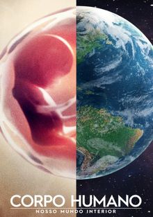Человеческое тело: мир внутри